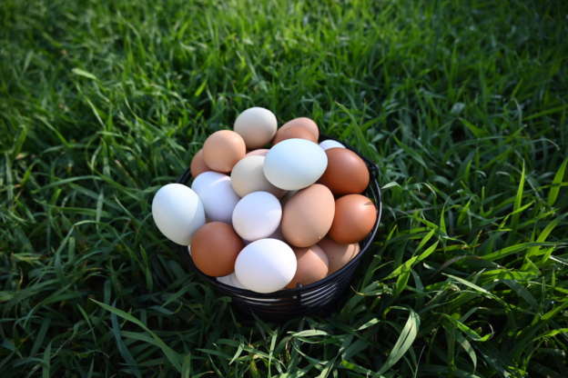 Dozens of colorful eggs in a basket